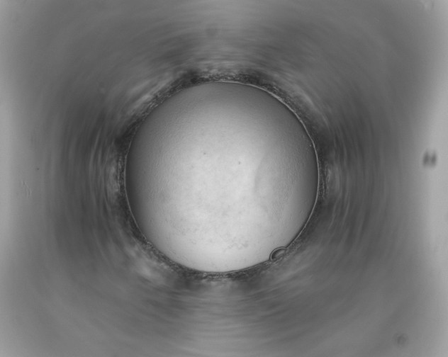X0000091571250200709051031