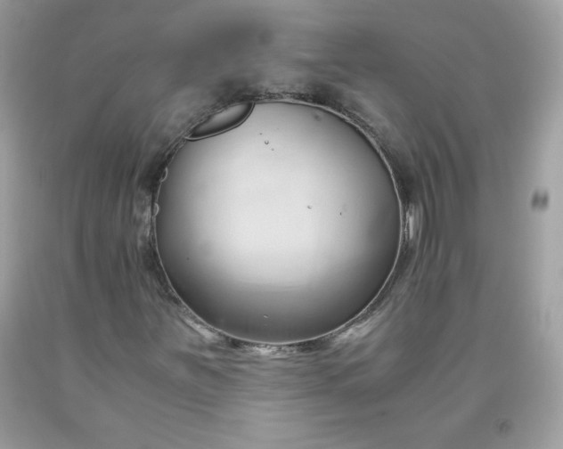 X0000091571251200709051031