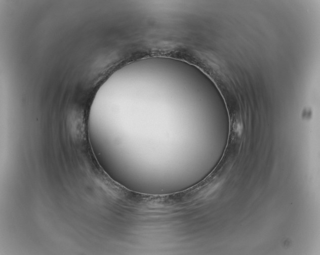 X0000091571252200709051031