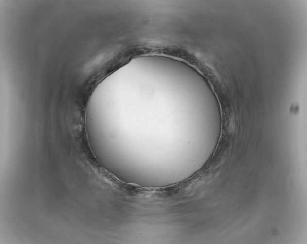 X0000091571253200709051031
