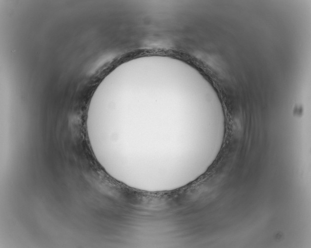 X0000091571254200709051031