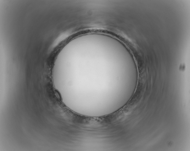 X0000091571255200709051031