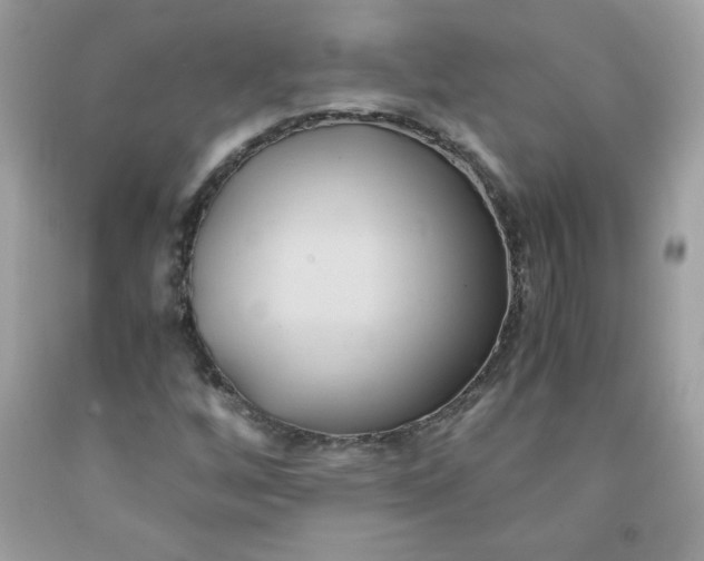X0000091571256200709051031