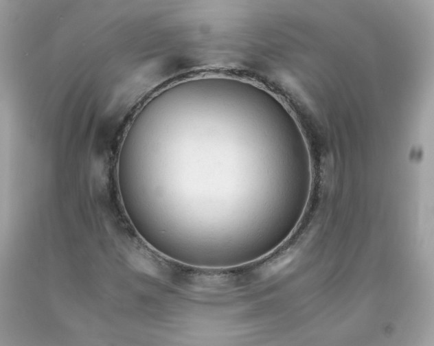 X0000091571257200709051031