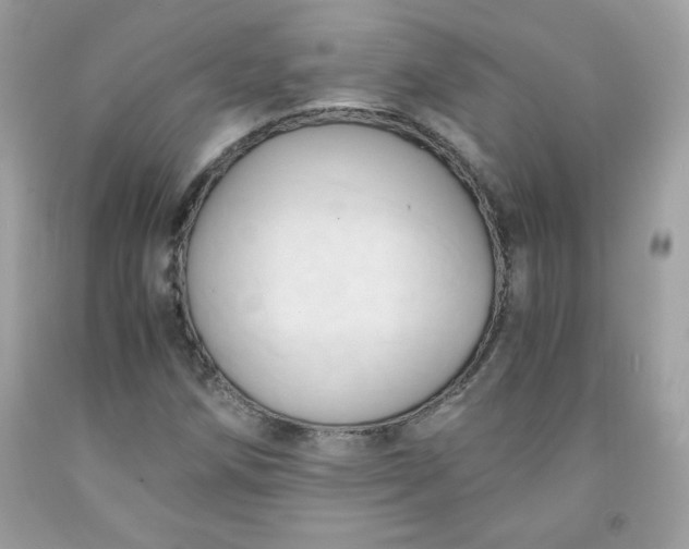 X0000091571258200709051031