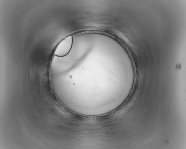 X0000091571259200709051031