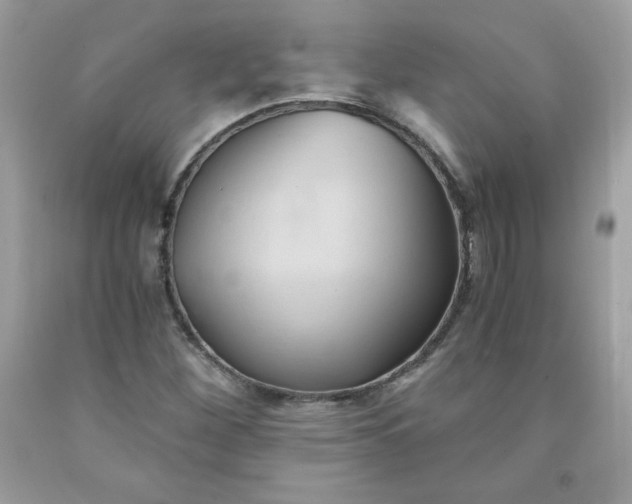 X0000091571260200709051031