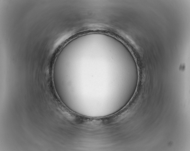 X0000091571261200709051031