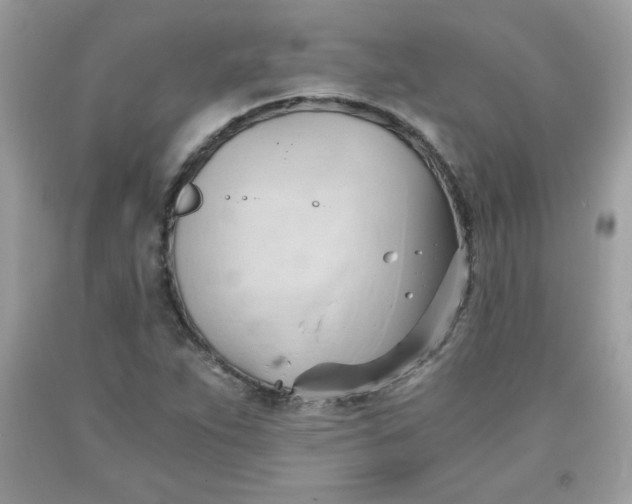 X0000091571263200709051031