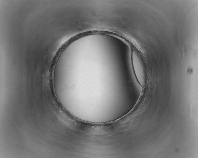 X0000091571264200709051031