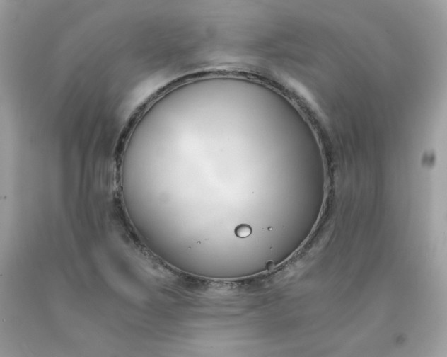 X0000091571267200709051031