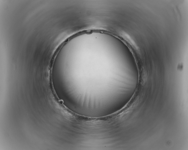 X0000091571268200709051031