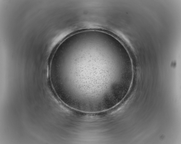 X0000091571269200709051031