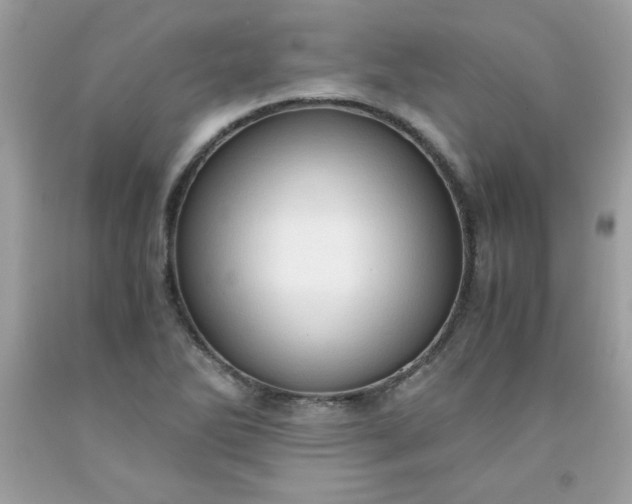 X0000091571270200709051031