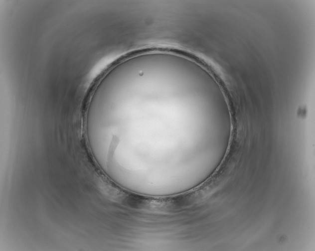 X0000091571271200709051031