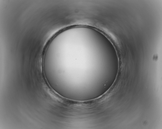 X0000091571272200709051031