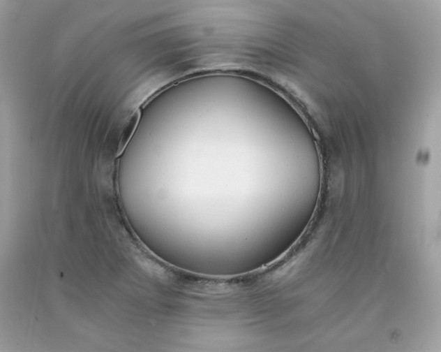 X0000091571273200709051031