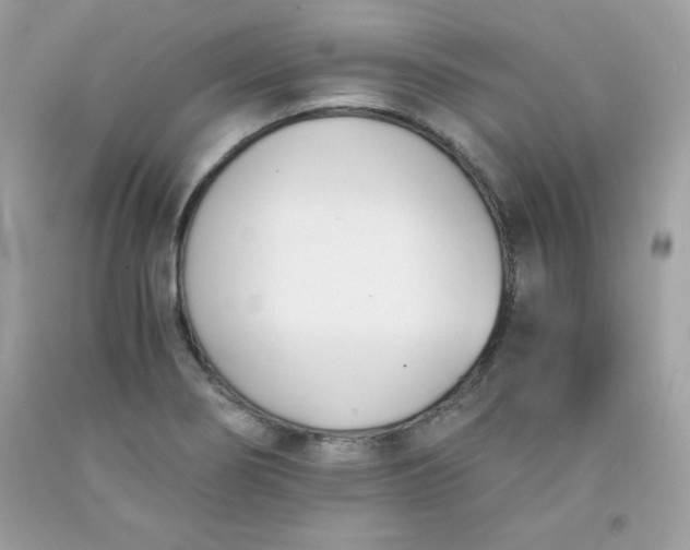 X0000091571274200709051031