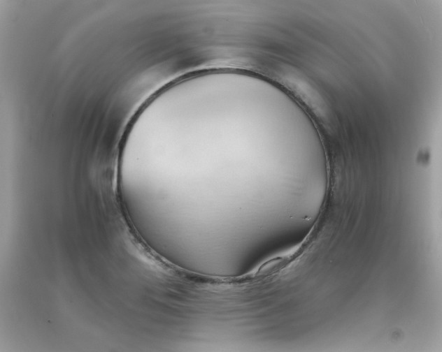 X0000091571276200709051030