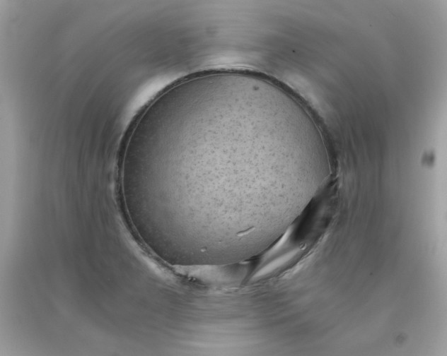 X0000091571277200709051030