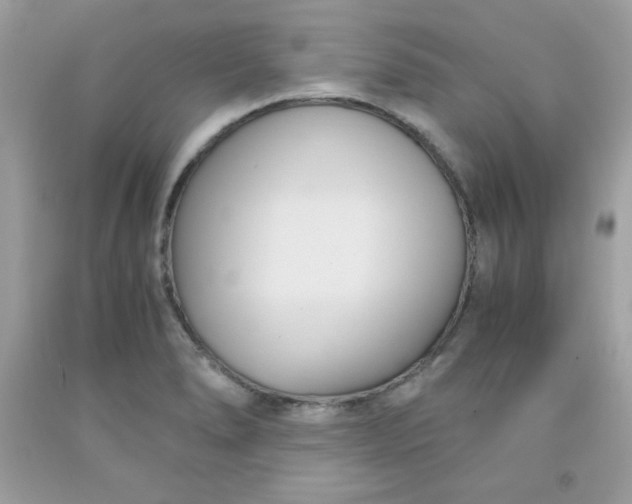 X0000091571278200709051030
