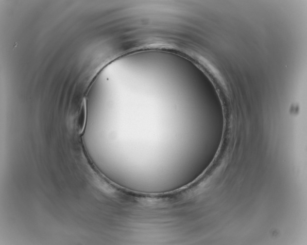 X0000091571281200709051030