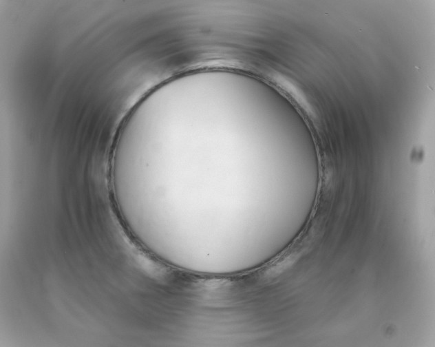 X0000091571282200709051030