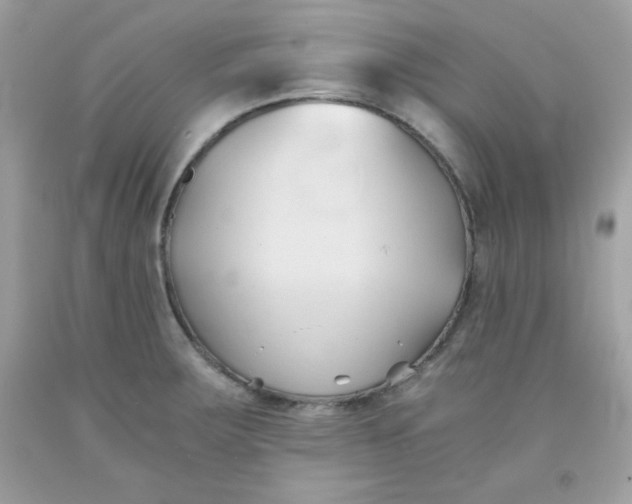 X0000091571283200709051030
