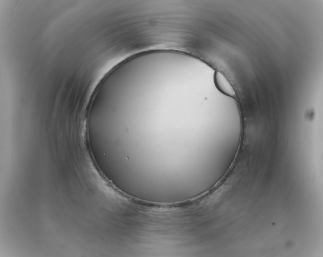 X0000091571284200709051030