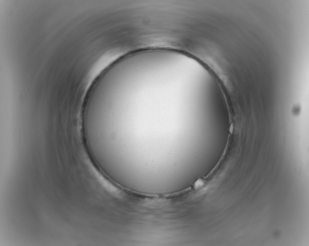 X0000091571285200709051030