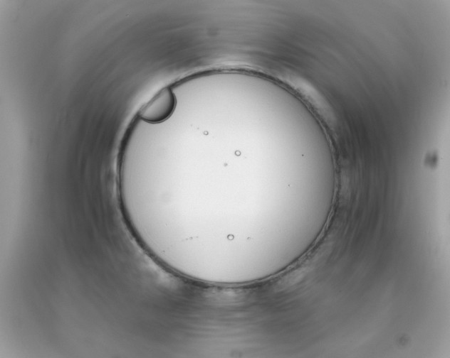 X0000091571286200709051030