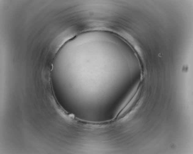 X0000091571289200709051030