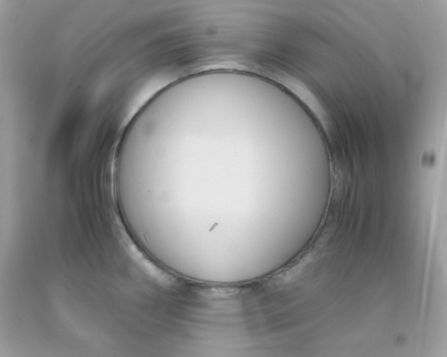 X0000091571290200709051030