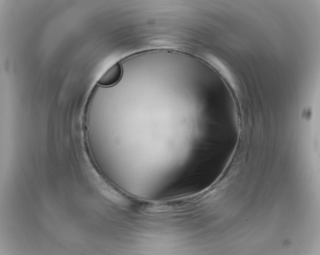 X0000091571291200709051030
