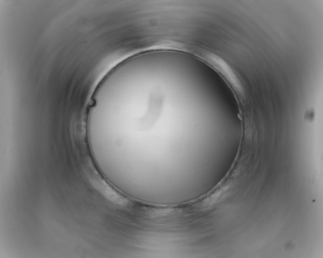 X0000091571292200709051030