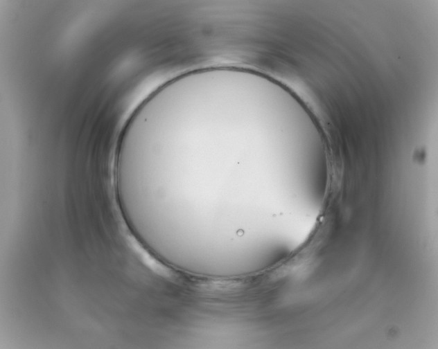 X0000091571294200709051030