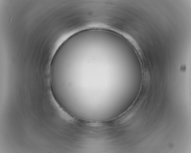 X0000091571295200709051030
