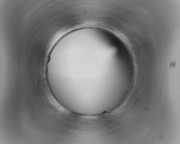 X0000091571296200709051030