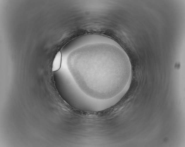 X0000091571297200709051030