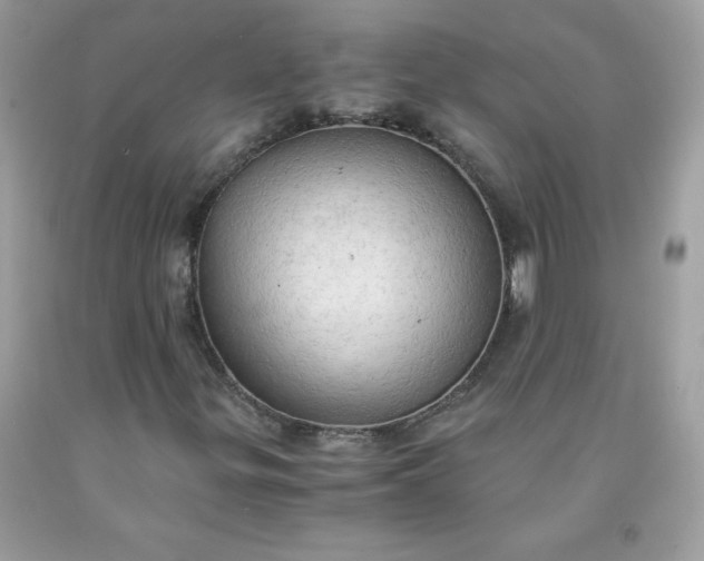X0000091571299200709051030