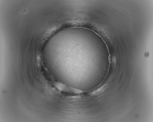 X0000091571300200709051030