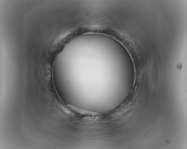 X0000091571301200709051030