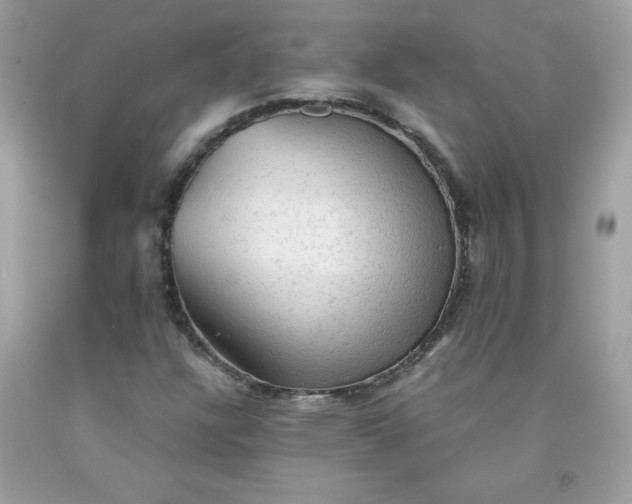 X0000091571304200709051030