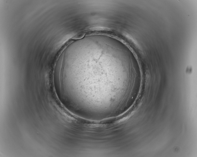 X0000091571305200709051030