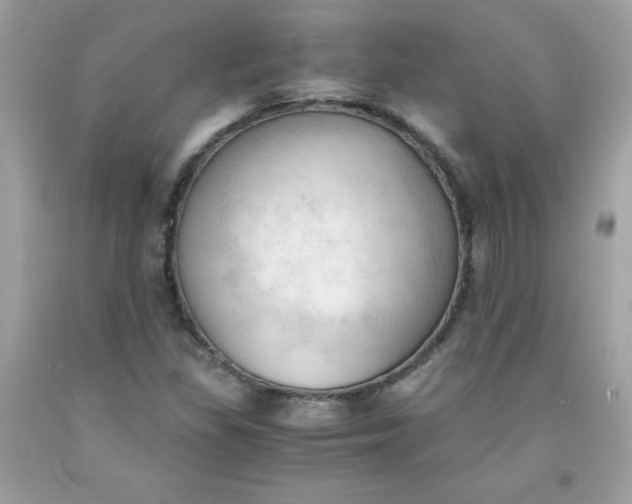 X0000091571309200709051030
