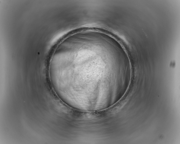 X0000091571311200709051030