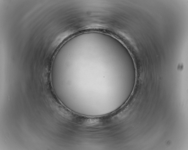 X0000091571313200709051030