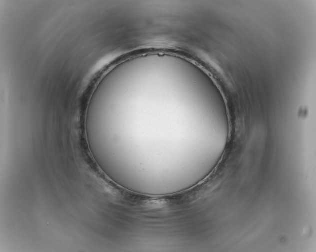 X0000091571315200709051030