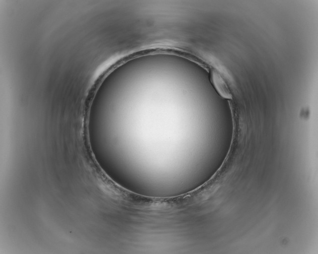 X0000091571316200709051030
