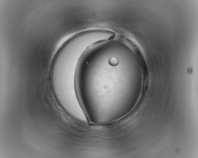 X0000091571320200709051030